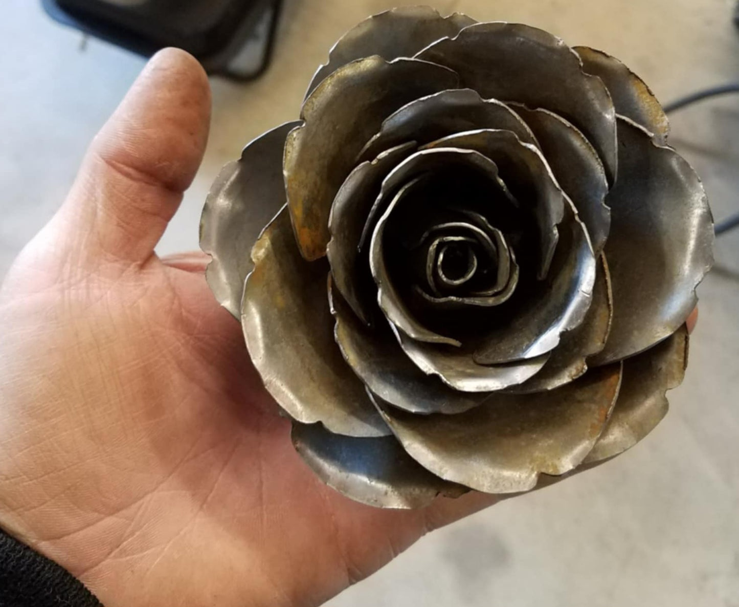 Ever Blooming Rose- Available this Spring Time Only!